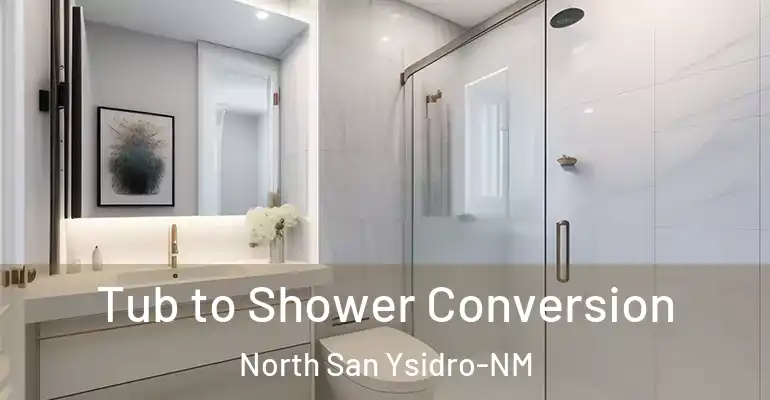 inner Bathroom imggen Tub to Shower Conversion North San Ysidro-NM