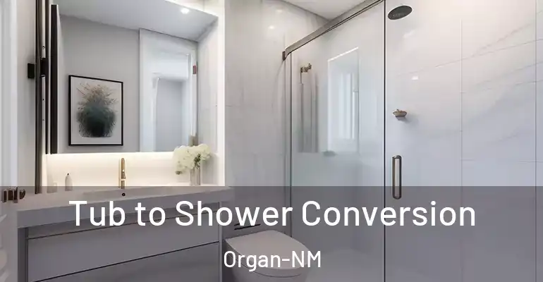 inner Bathroom imggen Tub to Shower Conversion Organ-NM