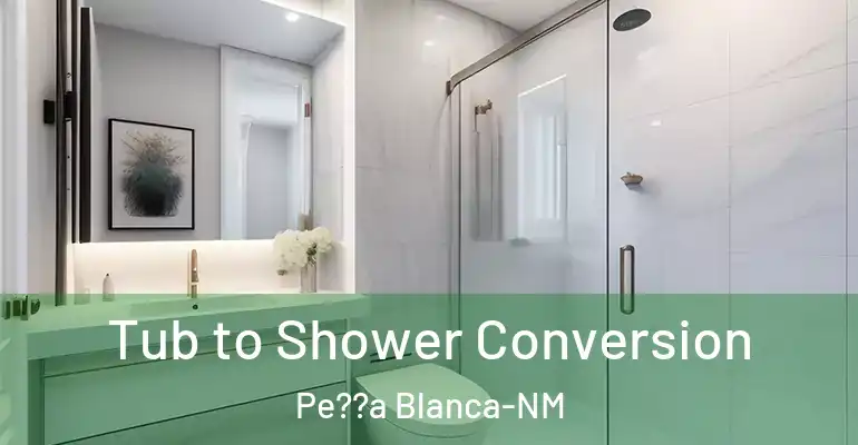 inner Bathroom imggen Tub to Shower Conversion Pe??a Blanca-NM