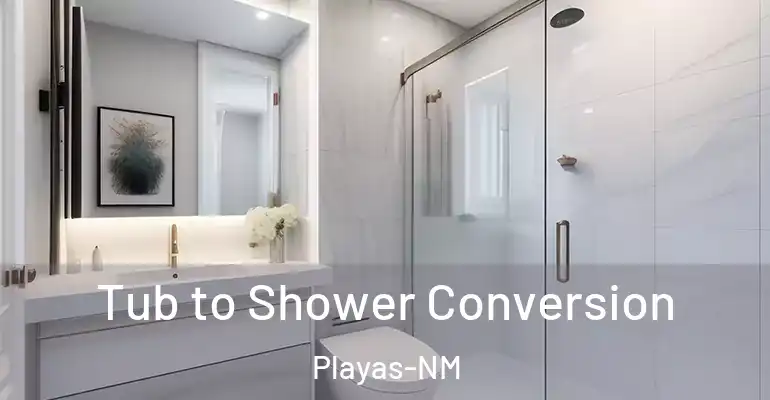 inner Bathroom imggen Tub to Shower Conversion Playas-NM