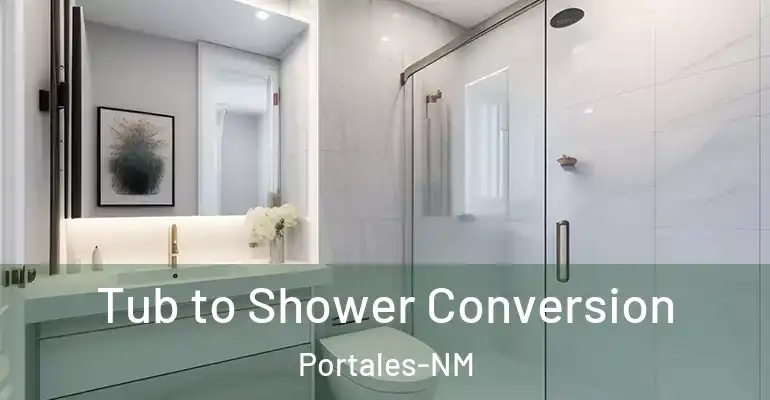 inner Bathroom imggen Tub to Shower Conversion Portales-NM