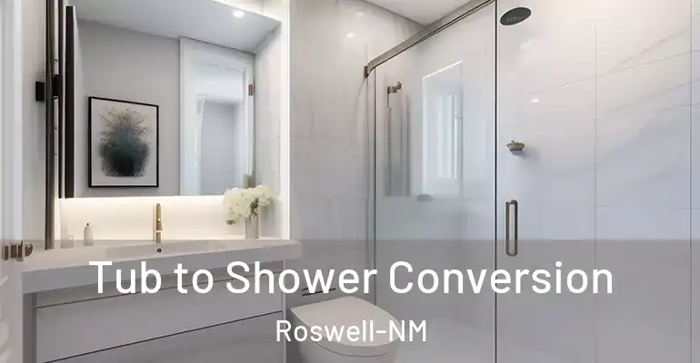 inner Bathroom imggen Tub to Shower Conversion Roswell-NM