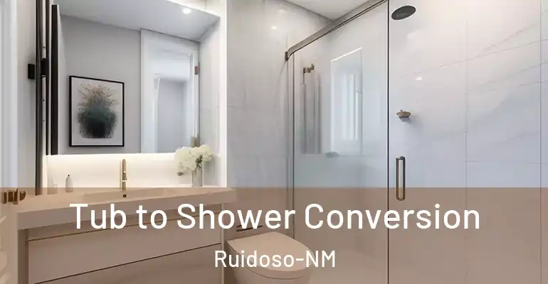 inner Bathroom imggen Tub to Shower Conversion Ruidoso-NM