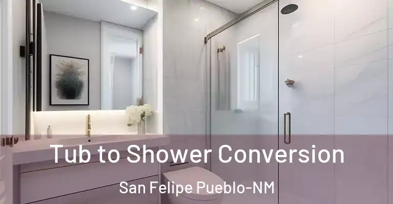 inner Bathroom imggen Tub to Shower Conversion San Felipe Pueblo-NM