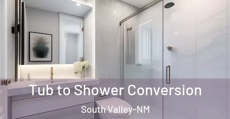 inner Bathroom imggen Tub to Shower Conversion South Valley-NM