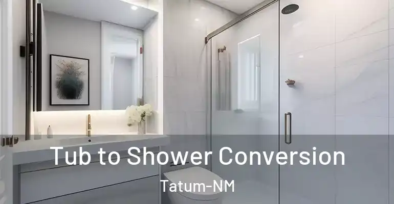 inner Bathroom imggen Tub to Shower Conversion Tatum-NM