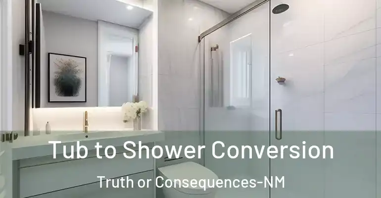inner Bathroom imggen Tub to Shower Conversion Truth or Consequences-NM