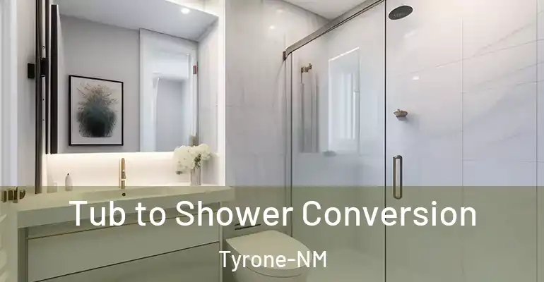 inner Bathroom imggen Tub to Shower Conversion Tyrone-NM