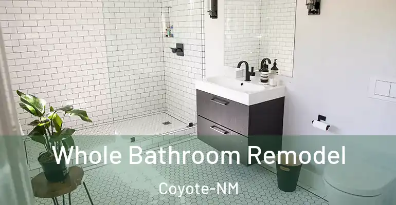 inner Bathroom imggen Whole Bathroom Remodel Coyote-NM