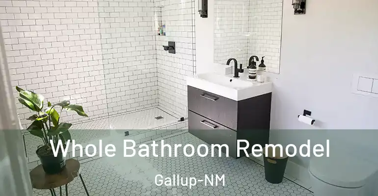 inner Bathroom imggen Whole Bathroom Remodel Gallup-NM