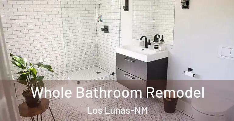 inner Bathroom imggen Whole Bathroom Remodel Los Lunas-NM