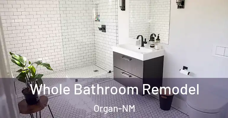 inner Bathroom imggen Whole Bathroom Remodel Organ-NM