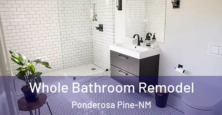 inner Bathroom imggen Whole Bathroom Remodel Ponderosa Pine-NM