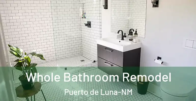 inner Bathroom imggen Whole Bathroom Remodel Puerto de Luna-NM